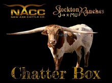 CHATTER BOX