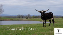 CCL Comanche Star