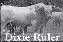 DIXIE RULER