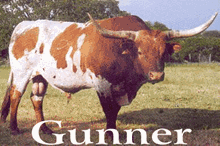 Gunner