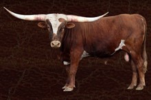 Hunt's Lasting Respect
