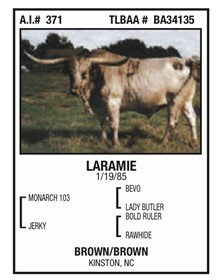 Laramie