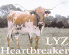 LYZ HEART BREAKER