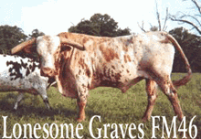 Lonesome Graves FM 46