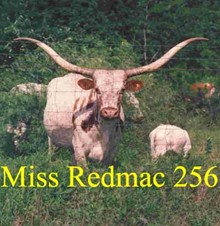 MISS REDMAC 256