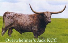 OVERWHELMERS JACK KCC