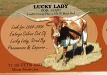 TX W Lucky Lady TX W Lucky Lady