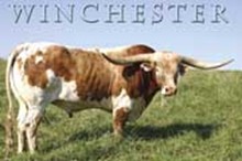WINCHESTER
