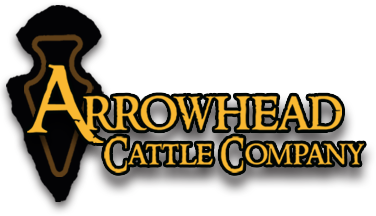 Arrowhead Cattle Company Longhorns Logo