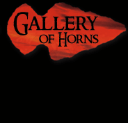 Gallery of Horns