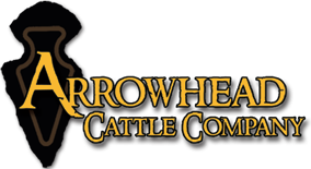 Arrowhead Cattle Company