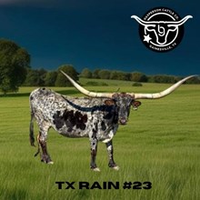 TX W Spring Rain