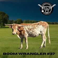 Boom Wrangler