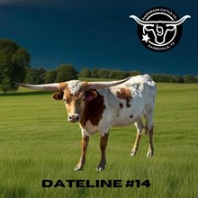 Dateline SS