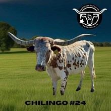 RJF Chillingo