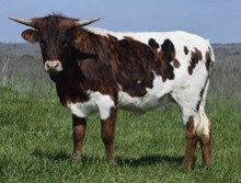 RO Brittany