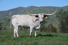 D/O KANSAS BEAUTY