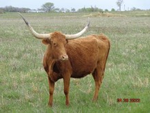 MTR RUTH 38/18