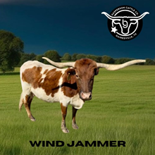 BR Wind Jammer