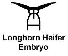 RRH EMBRYO LONGHORN