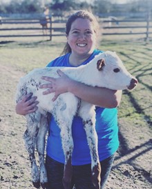 DIXIE PUFF 2019 HEIFER CALF