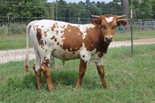 LAR Bull 2416