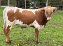Cote's J45