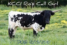 KCCI RIO'S CALL GIRL
