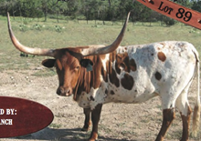 YO Country One 4742