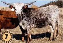 MOOANA