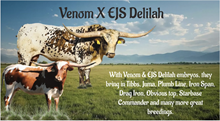 EJS Delilah X Venom