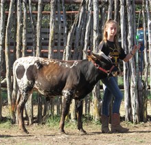 Cowboy In The No CPL