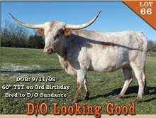 D/O Looking Good
