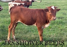 JRS Shower Beers