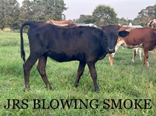 JRS Blowing Smoke